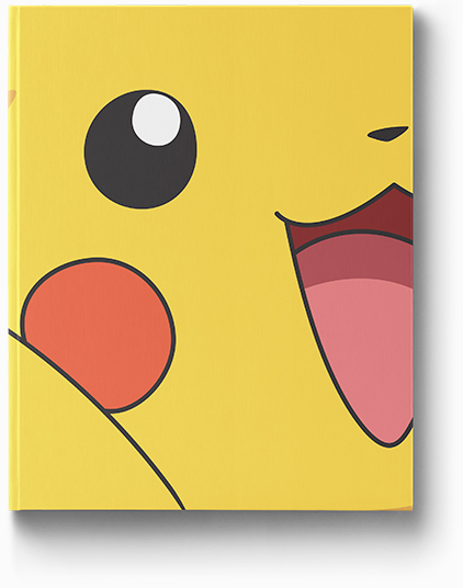 Pokemon Visual Guide Cover