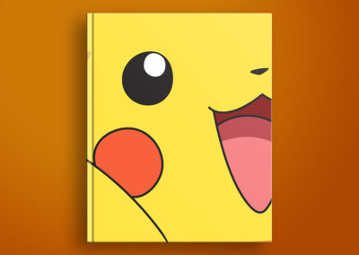 Pokemon Visual Guide